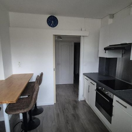 Appartement Spacieux & Paisible Meythet Exterior foto